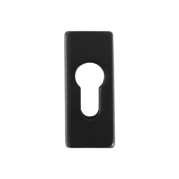 Schlüsselrosette Sicherheit CDF Gusseisen/Schwarz